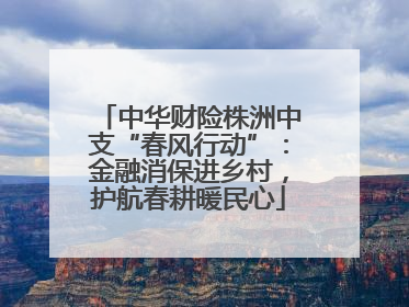 中华财险株洲中支“春风行动”：金融消保进乡村，护航春耕暖民心