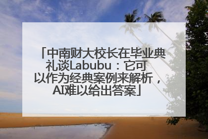 中南财大校长在毕业典礼谈Labubu：它可以作为经典案例来解析，AI难以给出答案
