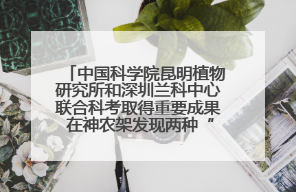 中国科学院昆明植物研究所和深圳兰科中心联合科考取得重要成果 在神农架发现两种“国保”级兰花
