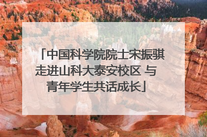 中国科学院院士宋振骐走进山科大泰安校区 与青年学生共话成长