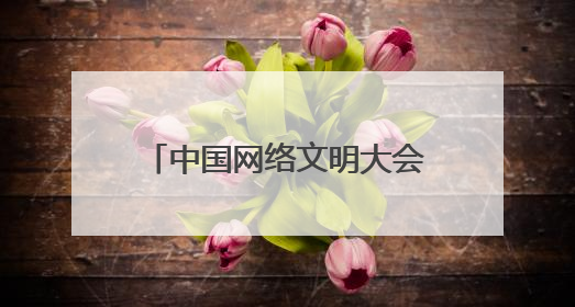 中国网络文明大会｜董宇辉谈转型：从英语教师到互联网的“秦腔”之路