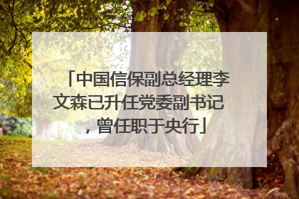中国信保副总经理李文森已升任党委副书记，曾任职于央行