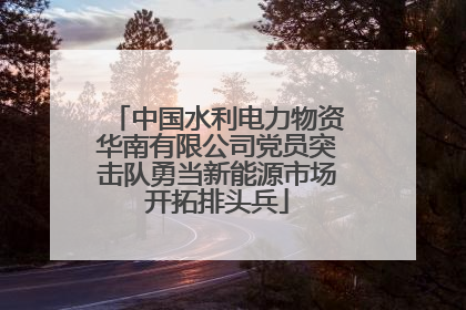 中国水利电力物资华南有限公司党员突击队勇当新能源市场开拓排头兵