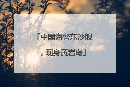 中国海警东沙舰，现身黄岩岛