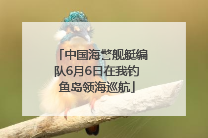中国海警舰艇编队6月6日在我钓鱼岛领海巡航
