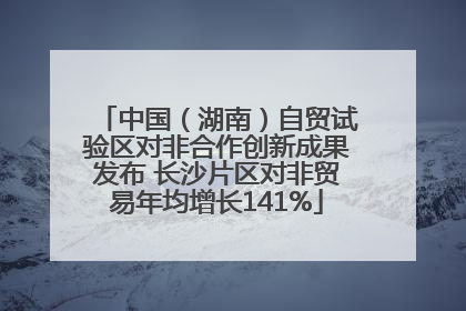 中国（湖南）自贸试验区对非合作创新成果发布 长沙片区对非贸易年均增长141%