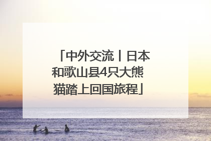 中外交流丨日本和歌山县4只大熊猫踏上回国旅程