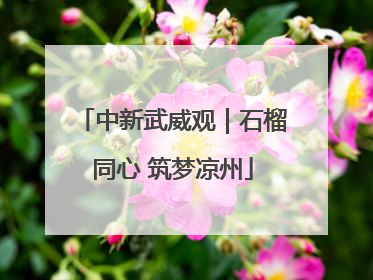 中新武威观｜石榴同心 筑梦凉州