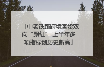 中老铁路跨境客货双向“飘红” 上半年多项指标创历史新高