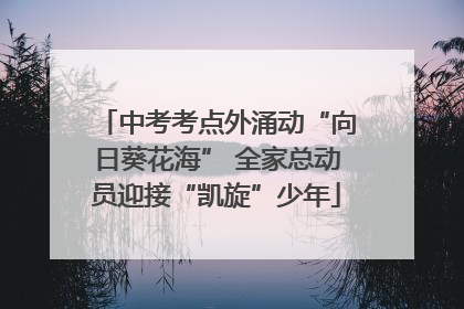 中考考点外涌动“向日葵花海” 全家总动员迎接“凯旋”少年