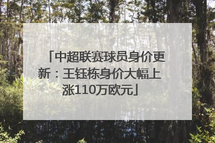 中超联赛球员身价更新：王钰栋身价大幅上涨110万欧元