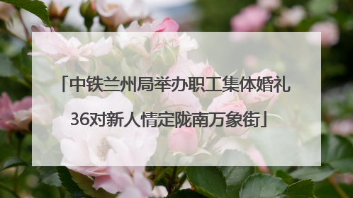 中铁兰州局举办职工集体婚礼 36对新人情定陇南万象街