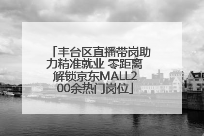 丰台区直播带岗助力精准就业 零距离解锁京东MALL200余热门岗位