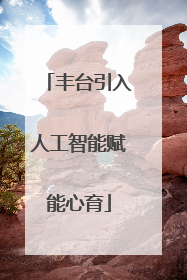 丰台引入人工智能赋能心育