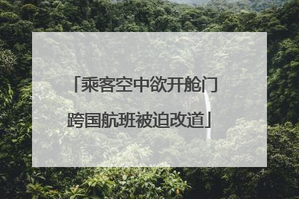乘客空中欲开舱门 跨国航班被迫改道