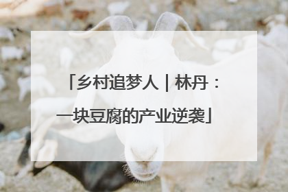 乡村追梦人｜林丹：一块豆腐的产业逆袭