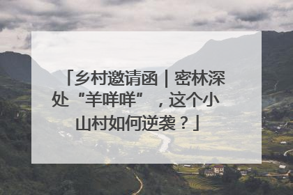 乡村邀请函｜密林深处“羊咩咩”，这个小山村如何逆袭？