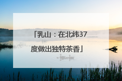 乳山：在北纬37度做出独特茶香