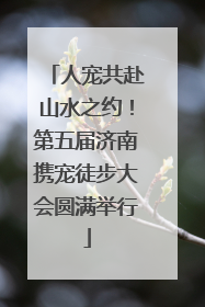 人宠共赴山水之约！第五届济南携宠徒步大会圆满举行