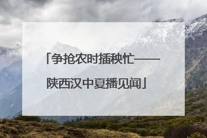 争抢农时插秧忙——陕西汉中夏播见闻