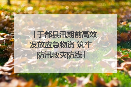 于都县汛期前高效发放应急物资 筑牢防汛救灾防线