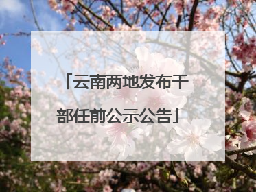 云南两地发布干部任前公示公告