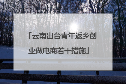 云南出台青年返乡创业做电商若干措施