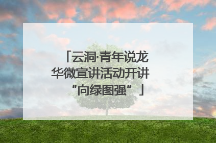 云洞·青年说龙华微宣讲活动开讲“向绿图强”