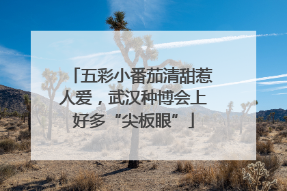 五彩小番茄清甜惹人爱，武汉种博会上好多“尖板眼”