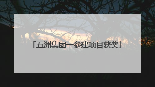 五洲集团一参建项目获奖