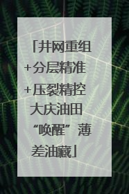 井网重组+分层精准+压裂精控 大庆油田“唤醒”薄差油藏