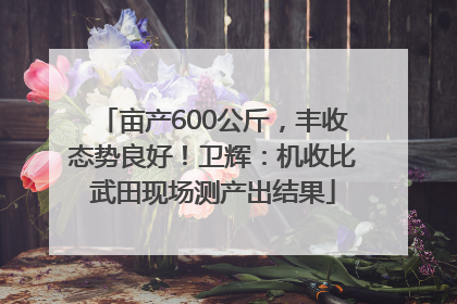 亩产600公斤，丰收态势良好！卫辉：机收比武田现场测产出结果