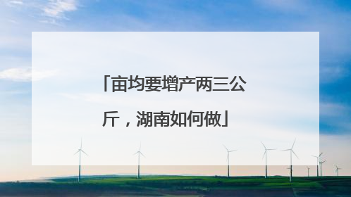 亩均要增产两三公斤，湖南如何做