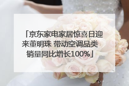 京东家电家居惊喜日迎来董明珠 带动空调品类销量同比增长100%