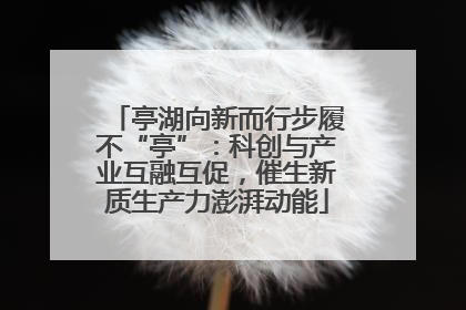 亭湖向新而行步履不“亭”：科创与产业互融互促，催生新质生产力澎湃动能