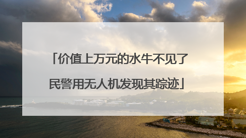 价值上万元的水牛不见了 民警用无人机发现其踪迹