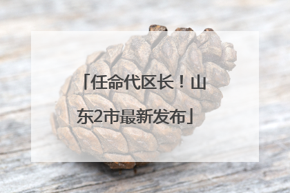 任命代区长！山东2市最新发布