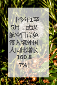 今年1至5月，武汉航空口岸免签入境外国人同比增长160.87%