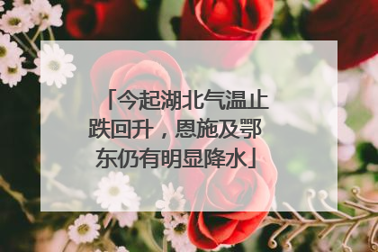今起湖北气温止跌回升，恩施及鄂东仍有明显降水