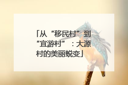 从“移民村”到“宜游村”：大源村的美丽蜕变