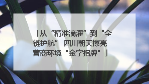 从“精准滴灌”到“全链护航” 四川朝天擦亮营商环境“金字招牌”