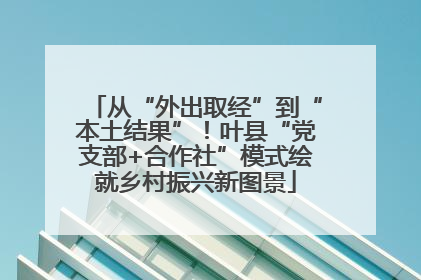 从“外出取经”到“本土结果”！叶县“党支部+合作社”模式绘就乡村振兴新图景