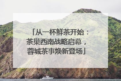 从一杯鲜茶开始：茶巢西南战略启幕，蓉城茶事焕新登场