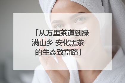 从万里茶道到绿满山乡 安化黑茶的生态致富路