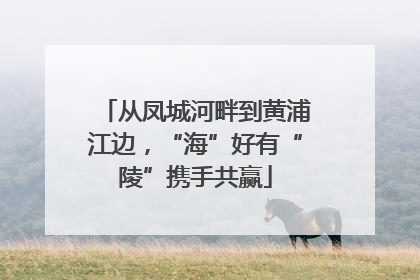 从凤城河畔到黄浦江边，“海”好有“陵”携手共赢