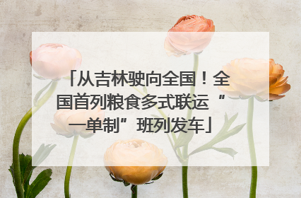从吉林驶向全国！全国首列粮食多式联运“一单制”班列发车