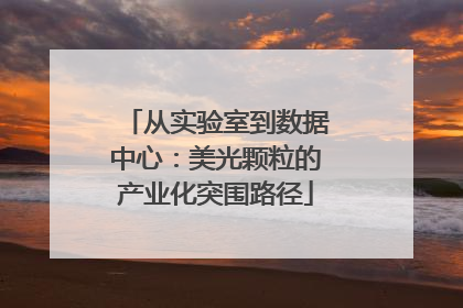 从实验室到数据中心：美光颗粒的产业化突围路径