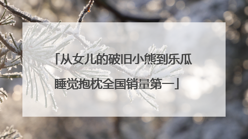 从女儿的破旧小熊到乐瓜睡觉抱枕全国销量第一