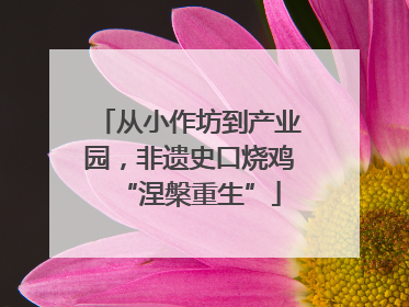 从小作坊到产业园，非遗史口烧鸡“涅槃重生”