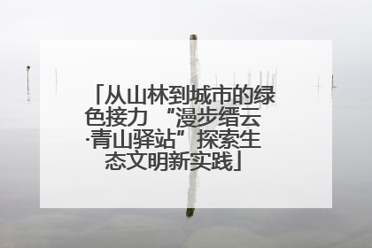 从山林到城市的绿色接力 “漫步缙云·青山驿站”探索生态文明新实践